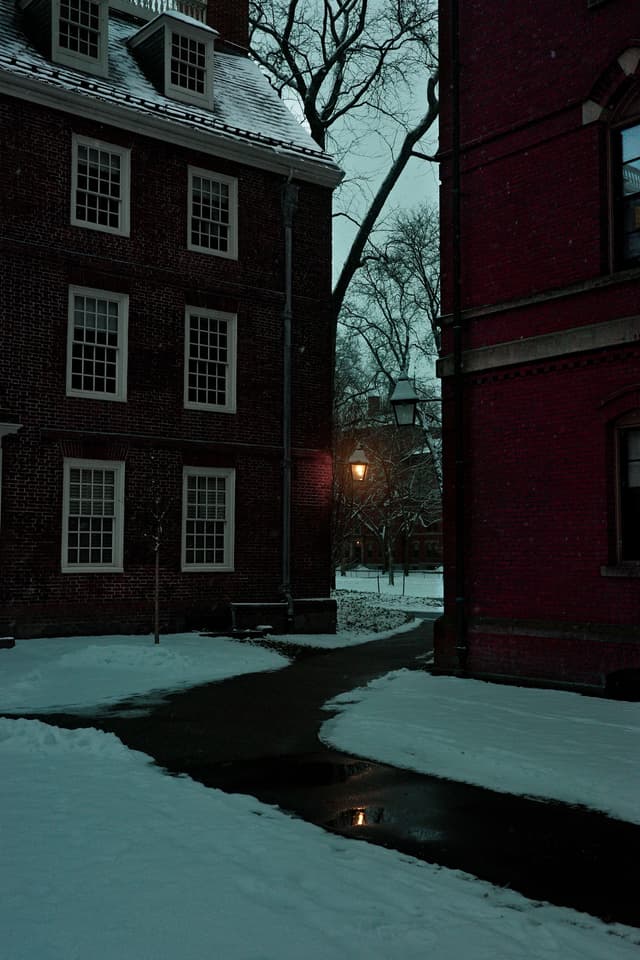 Snowy Day at Harvard